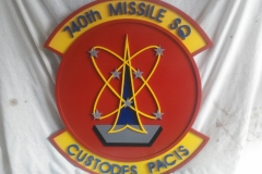 3 D Squadron Patch
