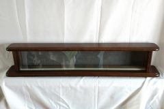 Custom Train Display Case